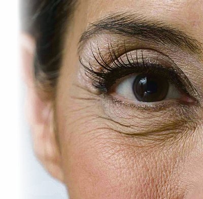 Why do wrinkles appear? Here's the explanation.