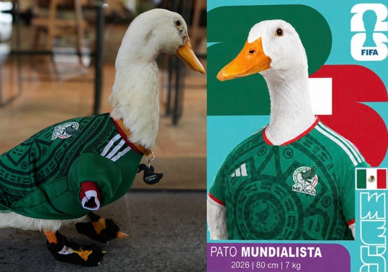 ‘Merlín’, el pato ahora mascota del Mundial, será el invitado de honor de la FIFA para el México vs Corea del Sur