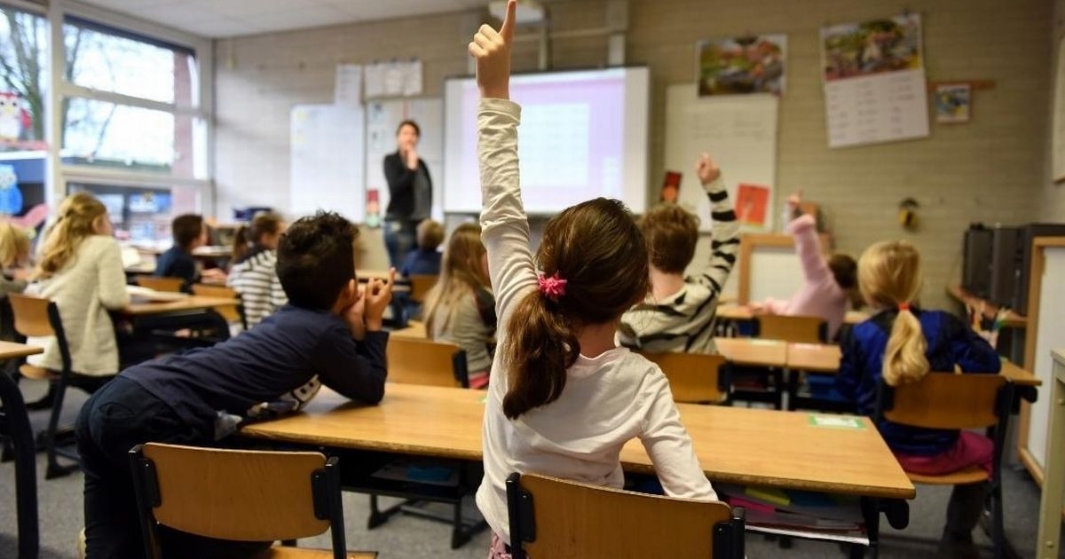 Una advertencia explosiva sobre la "red de seguridad rota" en materia de salud mental en las escuelas