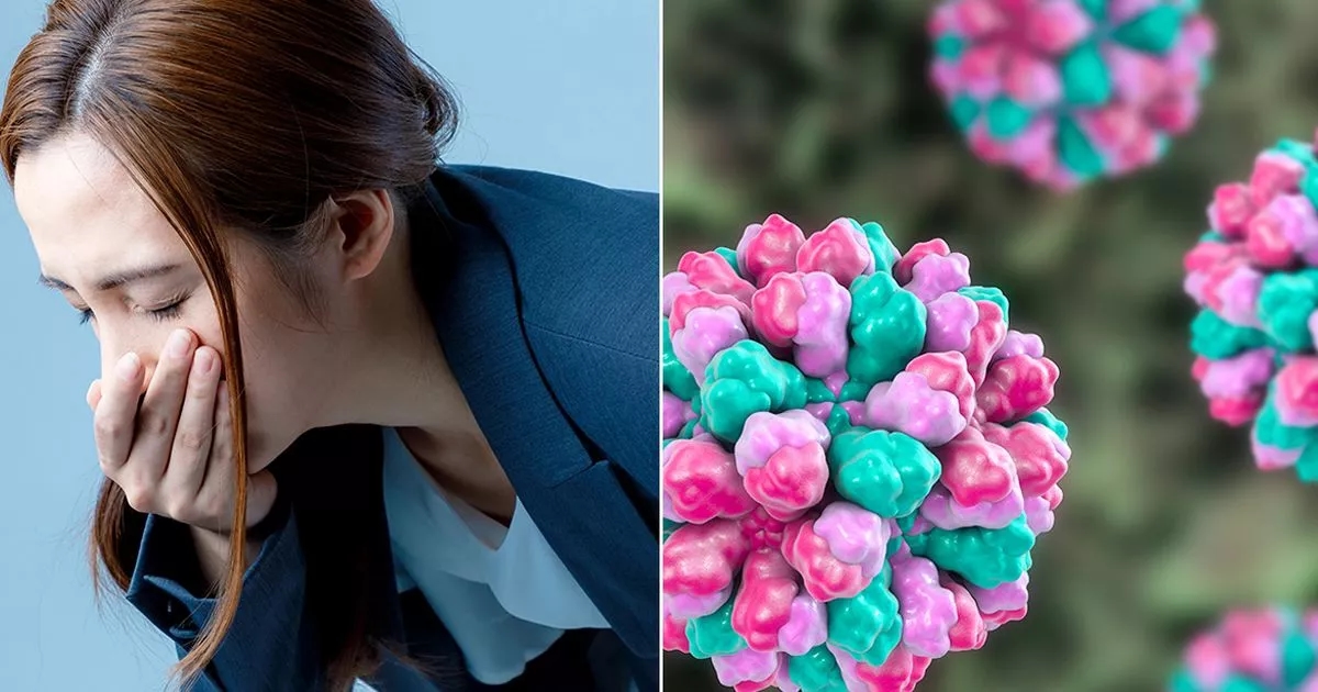 Norovirus NHS warning as sickness bug still spreading at 'highest ever' rate at start of Spring