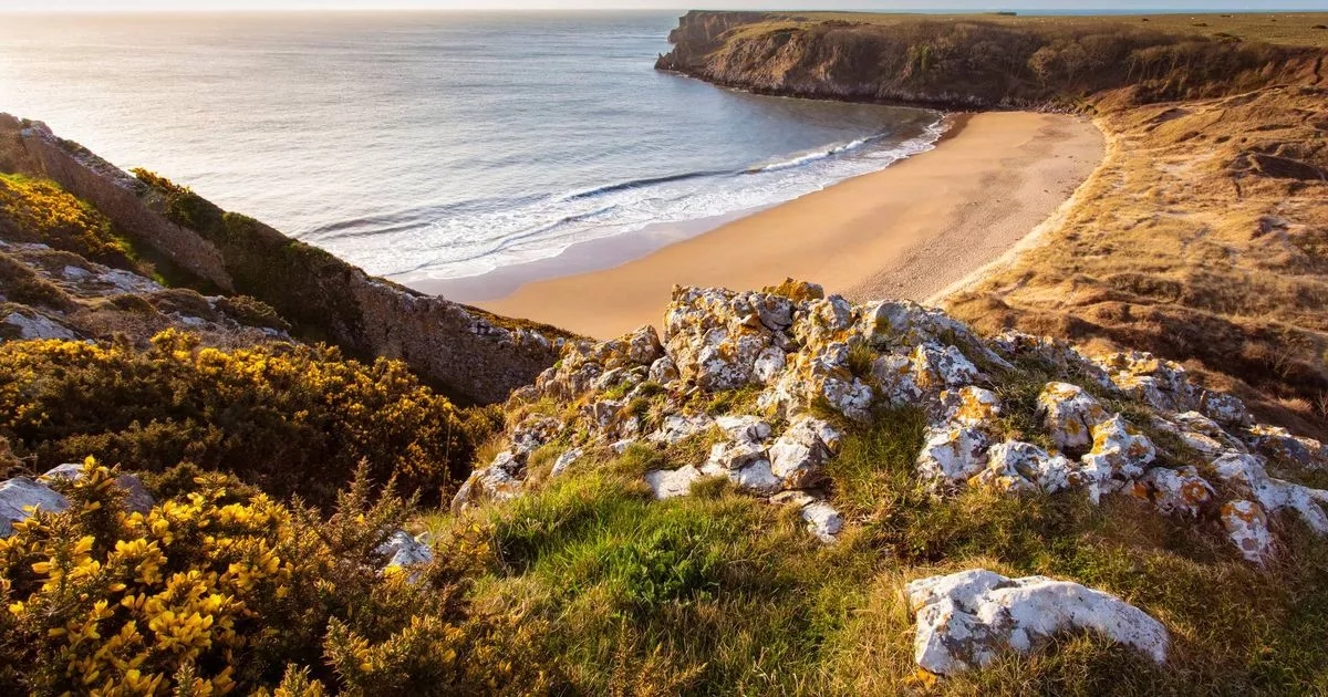 Amazing UK beach is 20 minutes from superb restaurant and 'looks like Barbados'