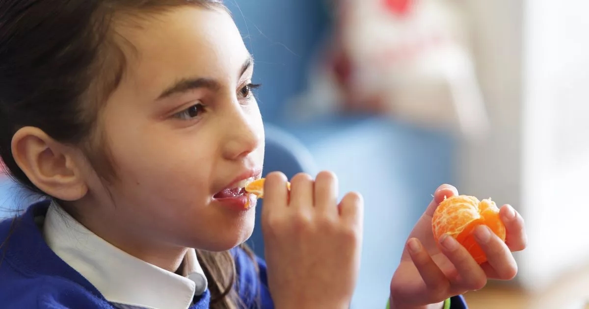 Free school meals update as new eligibility rules announced