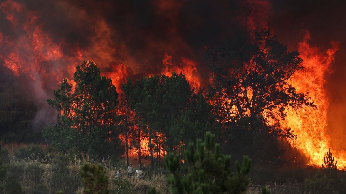 FCDO issues Portugal wildfires warning to Brits ahead of summer holidays