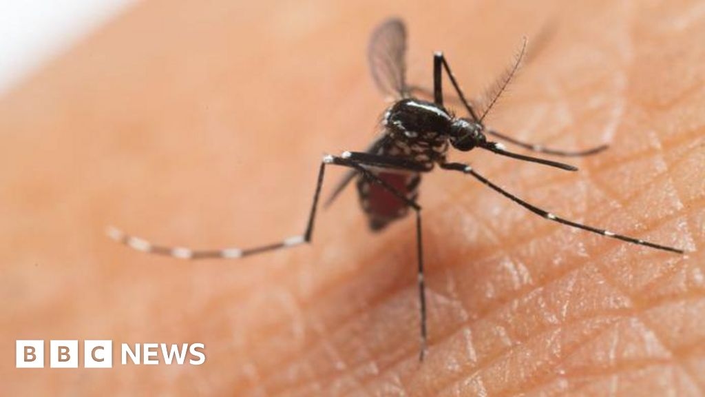 In Großbritannien haben sich die Fälle des durch Mücken übertragenen Virus mehr als verdoppelt