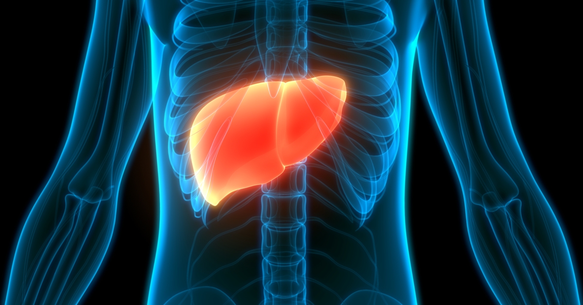Fatty liver is the disease of our day!