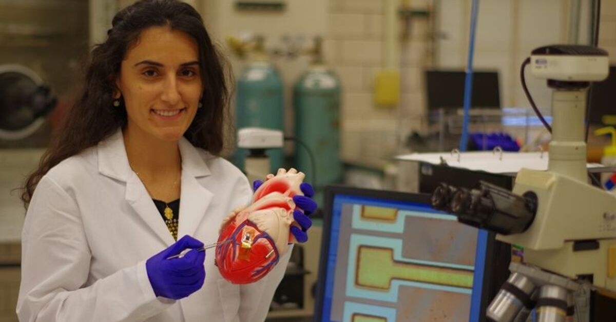 Lo scienziato Canan Dağdeviren ha subito un'emorragia cerebrale