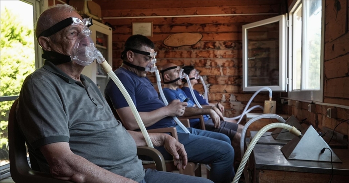 Ils guérissent avec l'air des abeilles