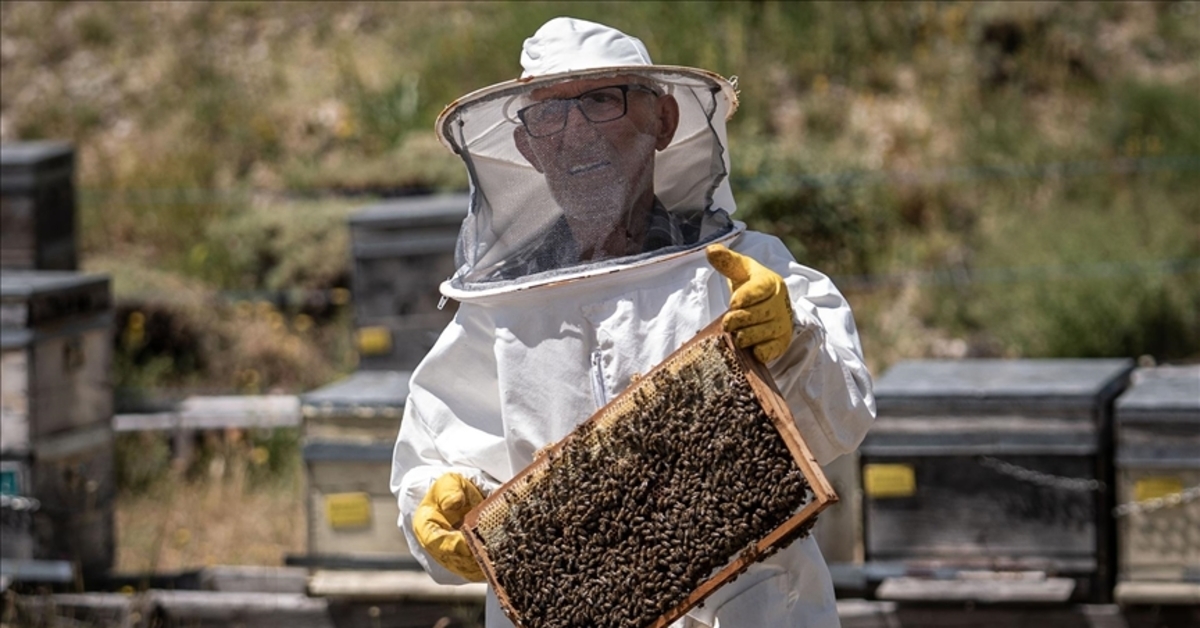 Er hat den Krebs besiegt! Er lebt seinen zweiten Frühling mit Bienen
