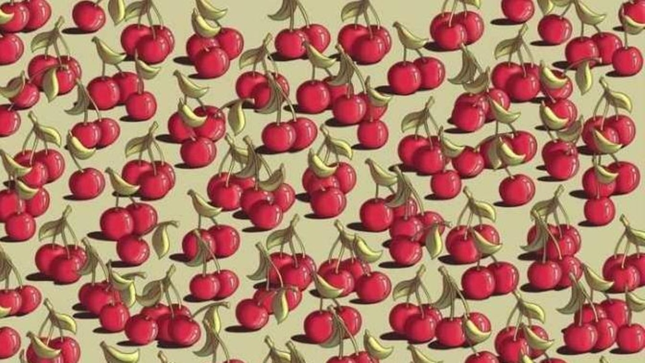 Hidden picture: Only 5% can find the tomato among the cherries – can you do it?