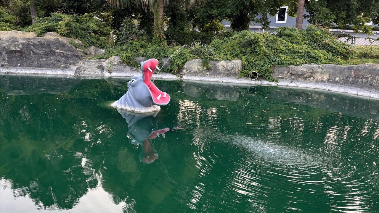 Hidden picture: If you see the hidden alligator, then you are a true genius