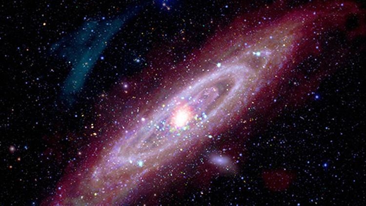 You've never seen the neighboring galaxy Andromeda in such detail