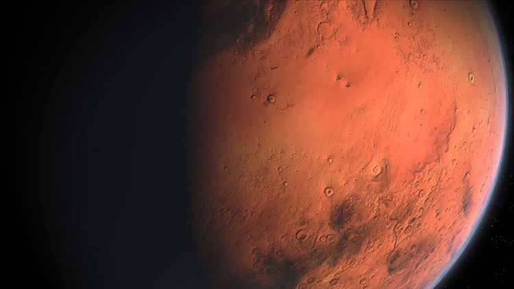 Interesante descubrimiento de “corales” en Marte