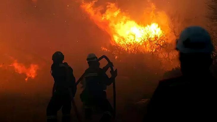 ¡Nos arden los pulmones! ¡Incendios forestales en muchas provincias! Imágenes desgarradoras de Çeşme...