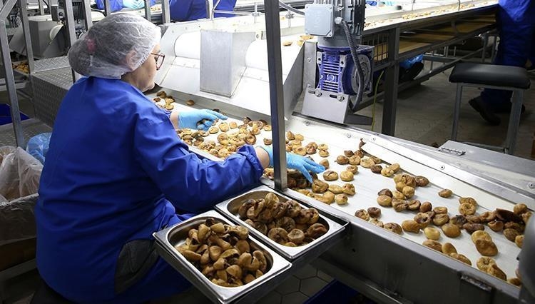 Southeastern Anatolia's dried fruit exports increased by 15.6 percent