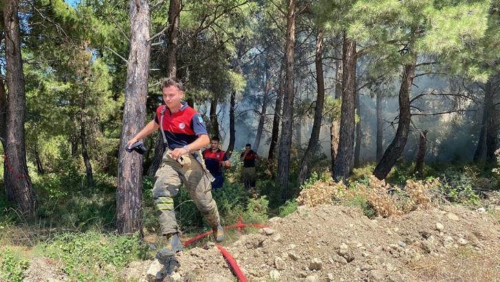 Çanakkale'de yangın! Tarım arazisinde başladı, kısa sürede büyüdü