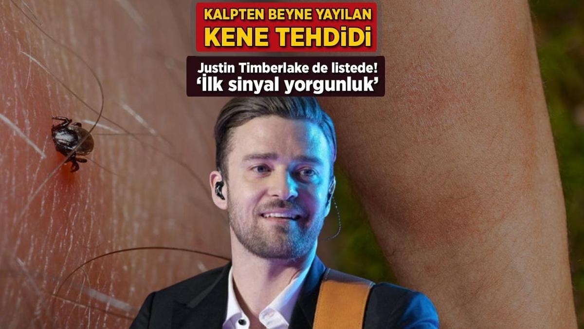 Zagrożenie kleszczami rozprzestrzenia się z serca do mózgu! Justin Timberlake również jest na liście: „Pierwszym sygnałem jest zmęczenie”