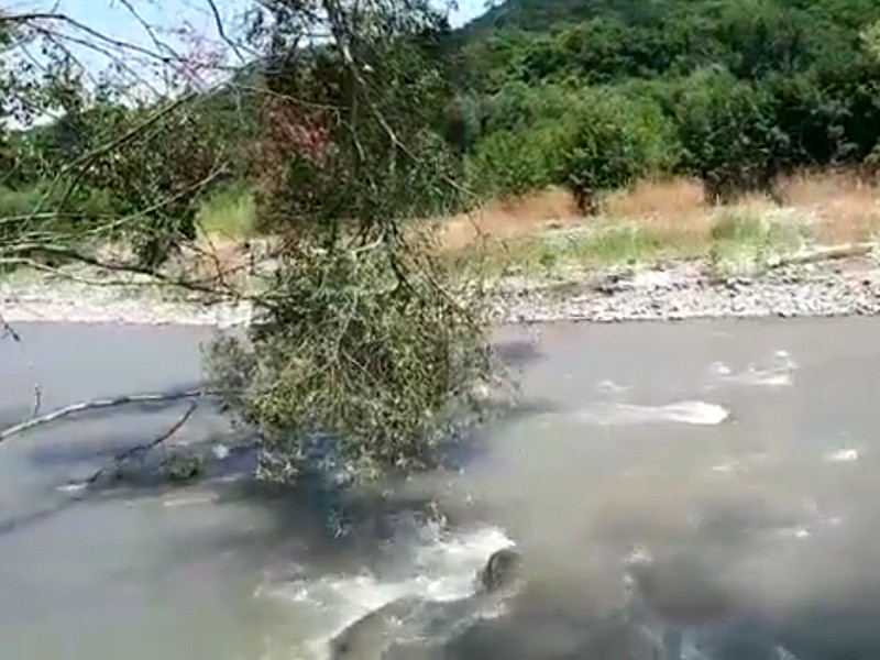 Çeçenistan'da İnguşetya'dan gelen çevreciler darp edildi, arabaları yakıldı.