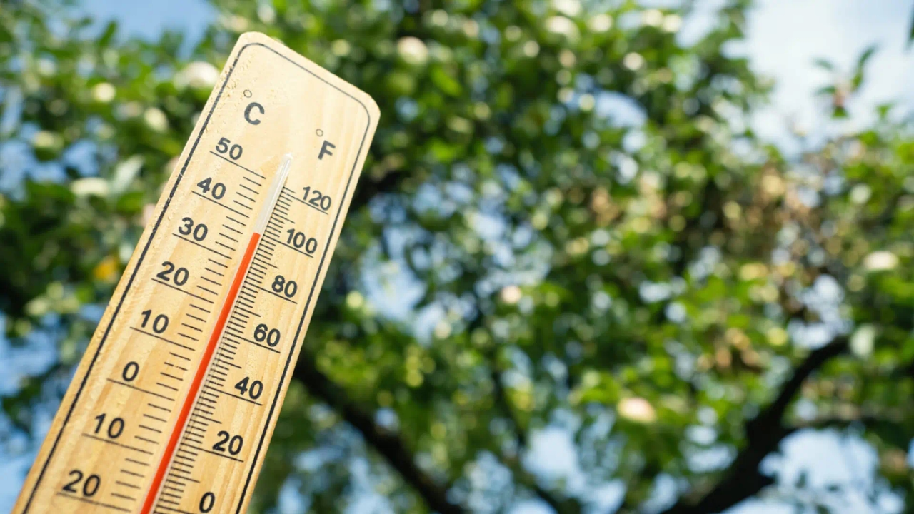 In che modo le alte temperature influiscono sul cervello? Gli esperti offrono consigli per proteggerlo.