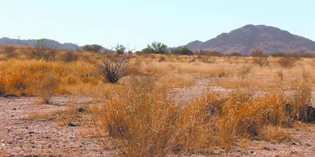 Baja California en Sonora, met ergere droogte dan een jaar geleden