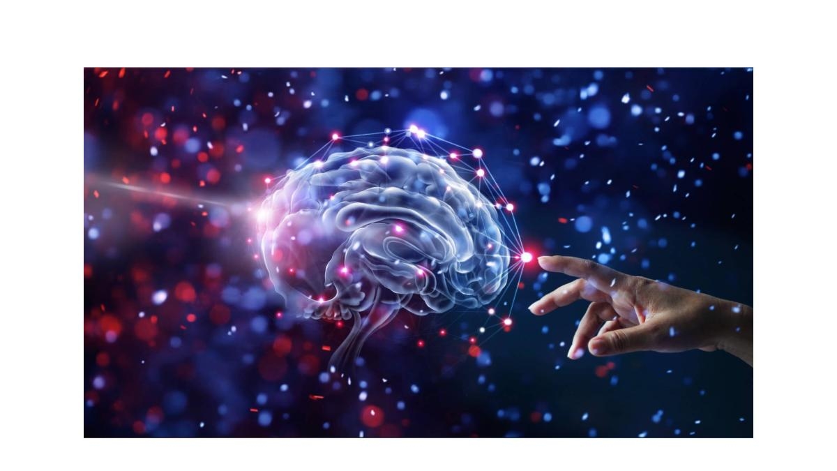 Opinión| 'En la construcción colectiva de una recomendación bioética para la neuro tecnología'