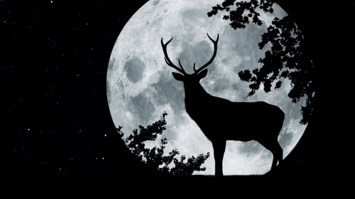 Luna llena de julio de 2025 o 'luna de ciervo': ¿cuándo y cómo verla desde Colombia?