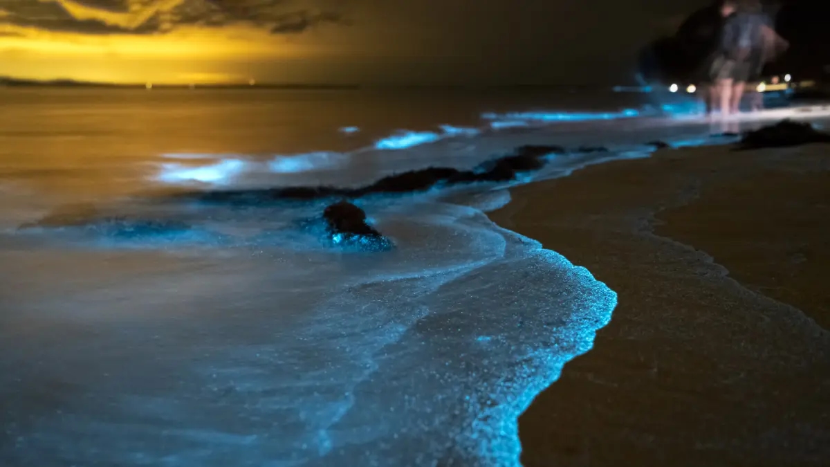 The human body also glows in the dark: this is the bioluminescence we have