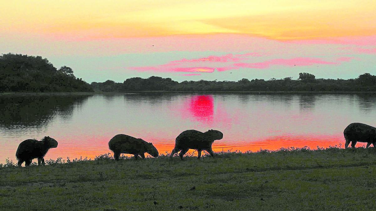 Ten destinations in Colombia that facilitate sustainable travel: which regions stand out?
