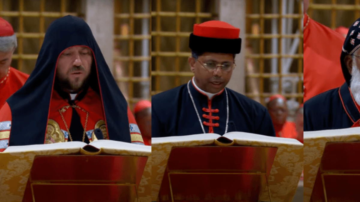 Bunlar, konklav başlamadan önceki alayda kıyafetleriyle dikkat çeken kardinallerdi.