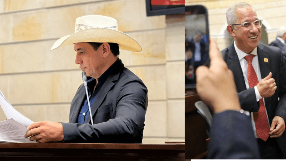 Danıştay, azınlık ve toplumsal cinsiyet eşitliği kurallarını ihlal ettiği gerekçesiyle Senato başkan yardımcısı seçimini iptal etti.