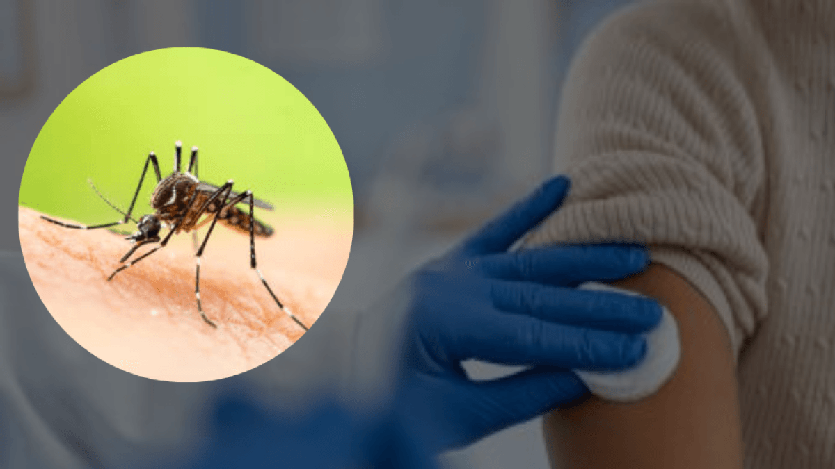 ¿No aparece actualizado su certificado de vacunación de fiebre amarilla? Así puede hacerlo