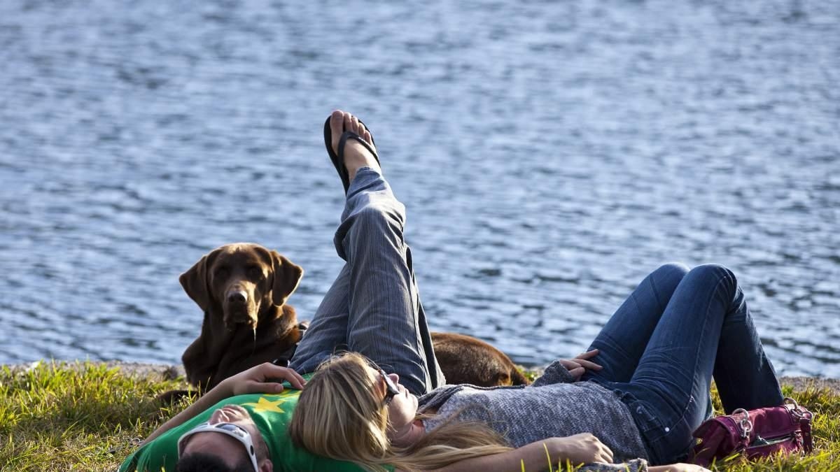 Orlando, Florida: un destino ideal para visitar con su mascota en vacaciones de mitad de año
