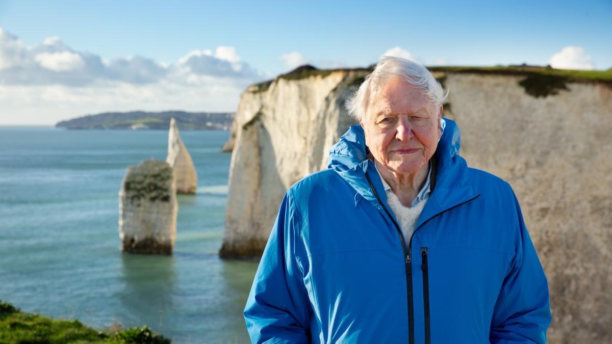 'Sem o oceano, não há humanidade': criadores de Ocean com David Attenborough