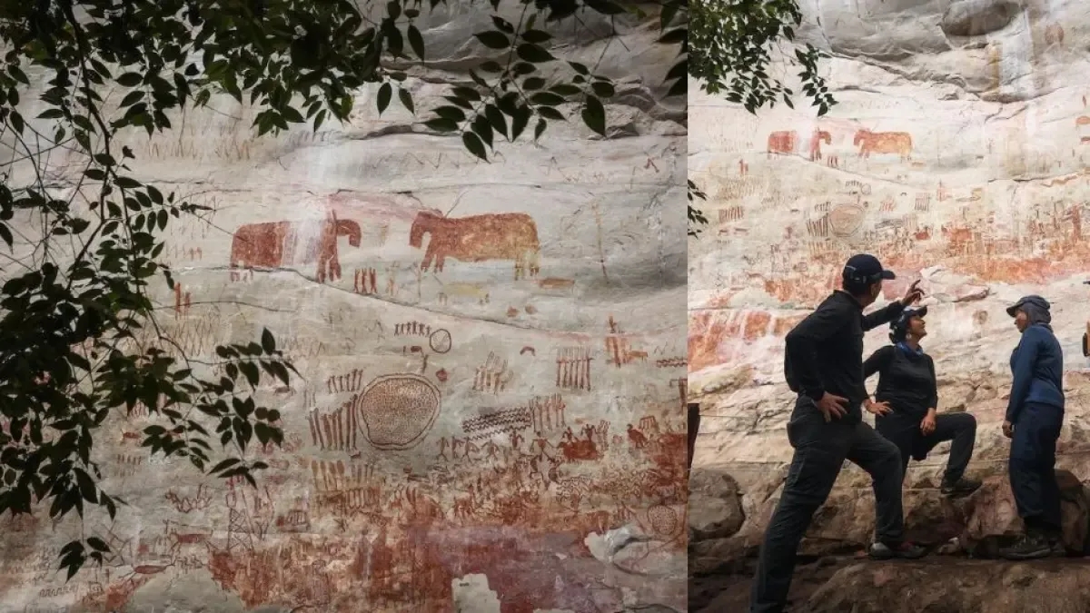 Nobody discovered anyone: the magic of Chiribiquete