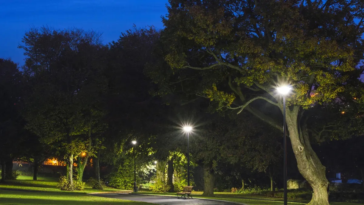 La luz artificial alarga el ciclo de crecimiento de las plantas en las zonas urbanas