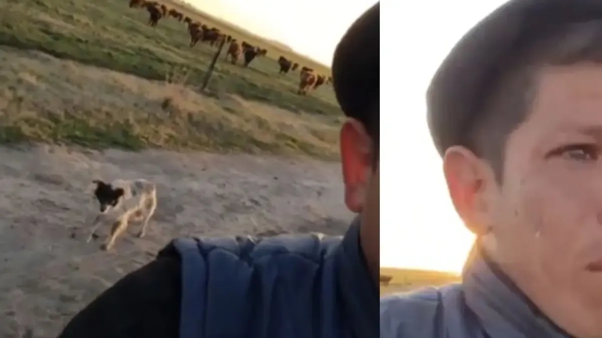 Ele foi demitido do emprego e o vídeo que ele mostra chorando por ter que deixar seu cachorro no campo comoveu todo mundo.