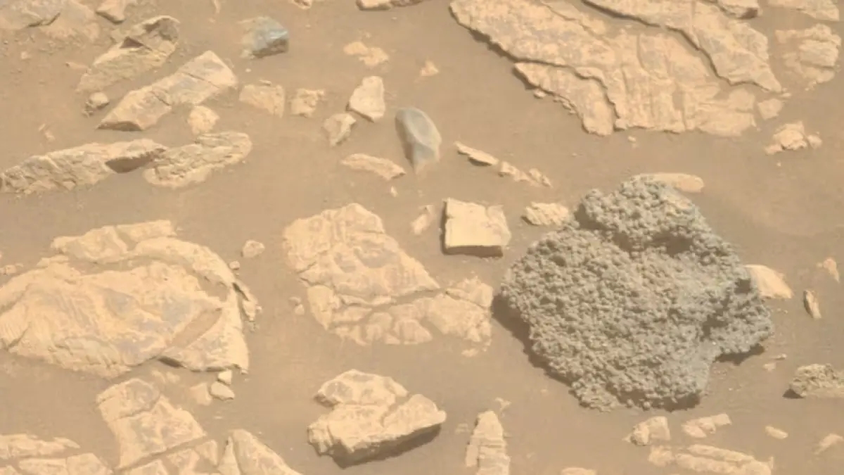 Intriguing discovery on Mars: a rock covered in 'spider eggs' baffles NASA