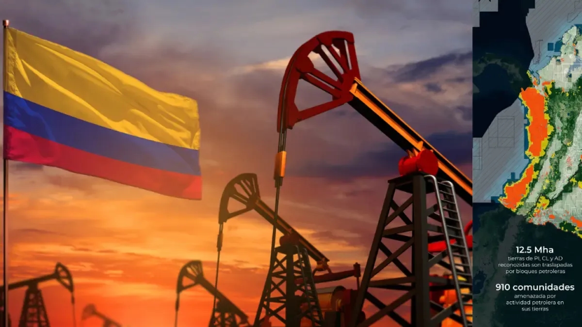 A Colômbia pode interromper a expansão do petróleo em 65 milhões de hectares e proteger ecossistemas importantes, de acordo com um relatório.
