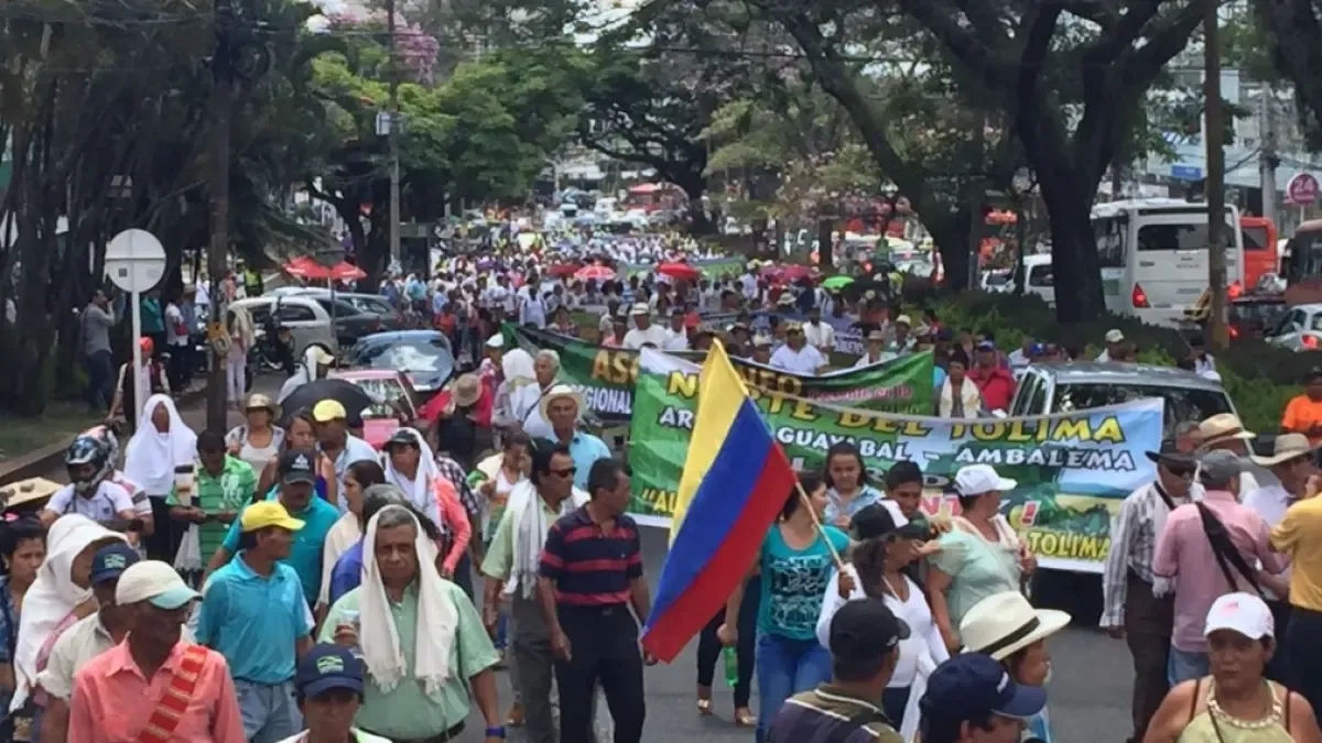 Las razones que han llevado a los productores a convocar el segundo paro arrocero de Colombia en este 2025