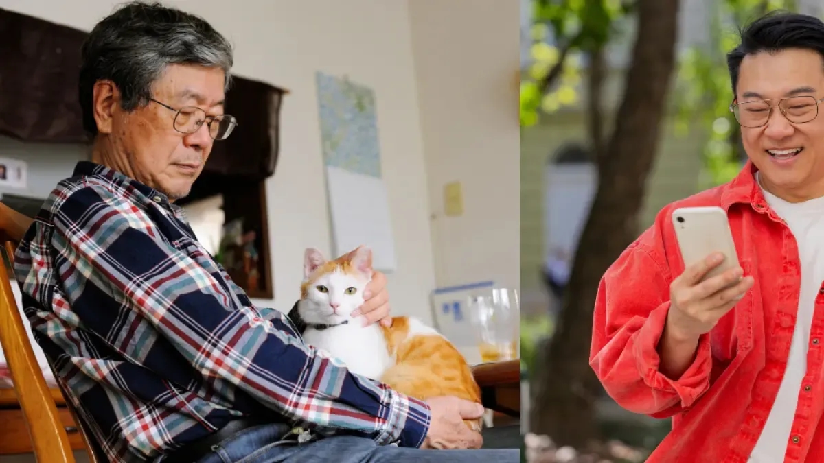 Homem na China promete uma herança de um milhão de dólares para quem cuidar de seu gato por toda a vida