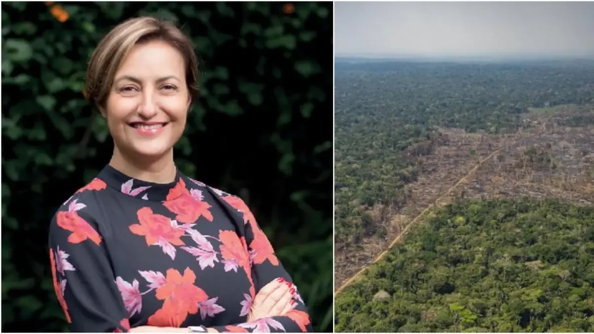 'Deforestation is Colombia's Achilles' heel': Claudia Vásquez, director of The Nature Conservancy in the country