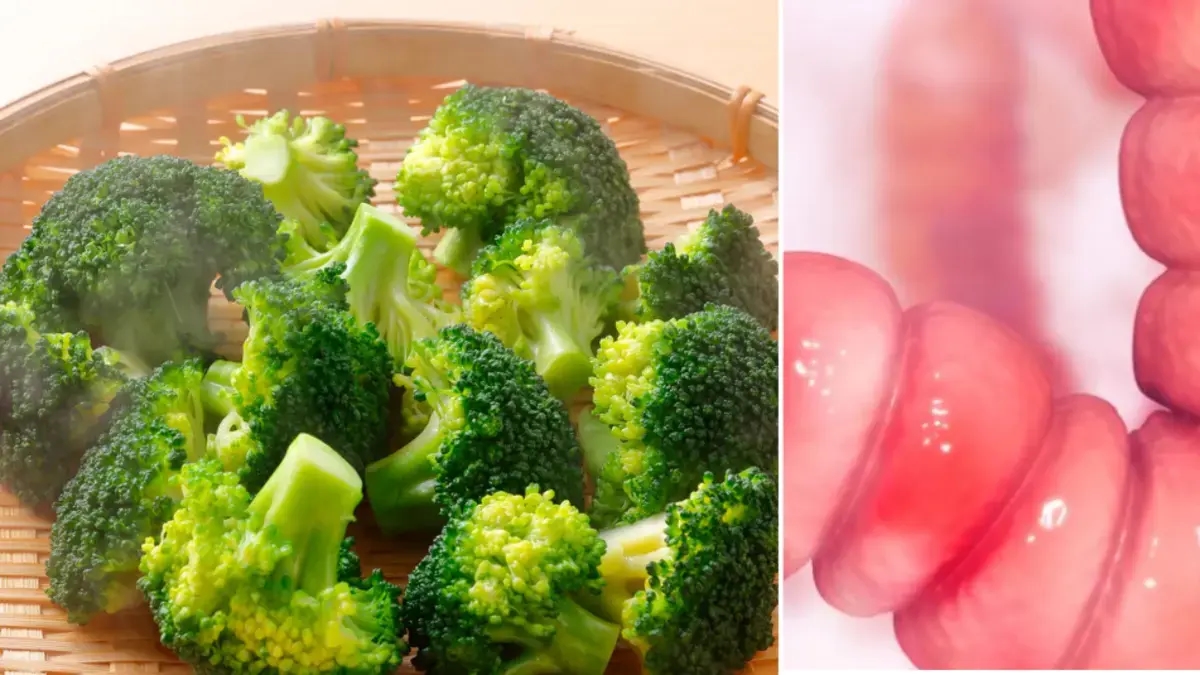 Cet aliment vert que vous avez probablement à la maison peut réduire votre risque de cancer de l’intestin de 20 %, selon une nouvelle étude.
