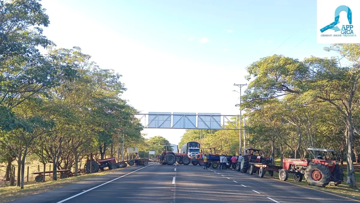 'Bloqueios, fechamentos de estradas e uma onda de insegurança estão nos levando a uma situação de absoluta impossibilidade': Nidia Hernández, presidente da Colfecar
