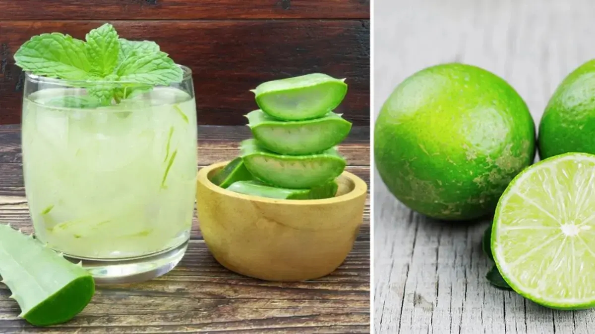Aloe mit Zitrone: Vorteile des täglichen Verzehrs, beste Einnahmezeit und einfaches Rezept