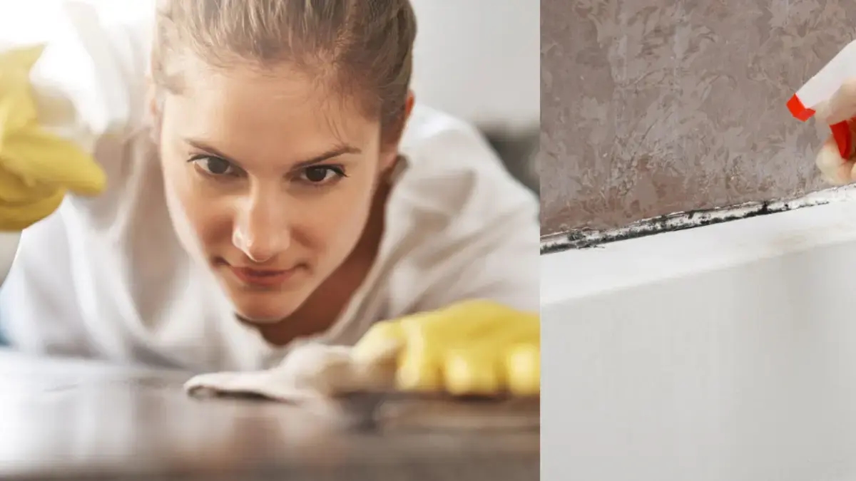 Banyo ve mutfaktaki küfü gidermek için iki hızlı ve kolay ipucu