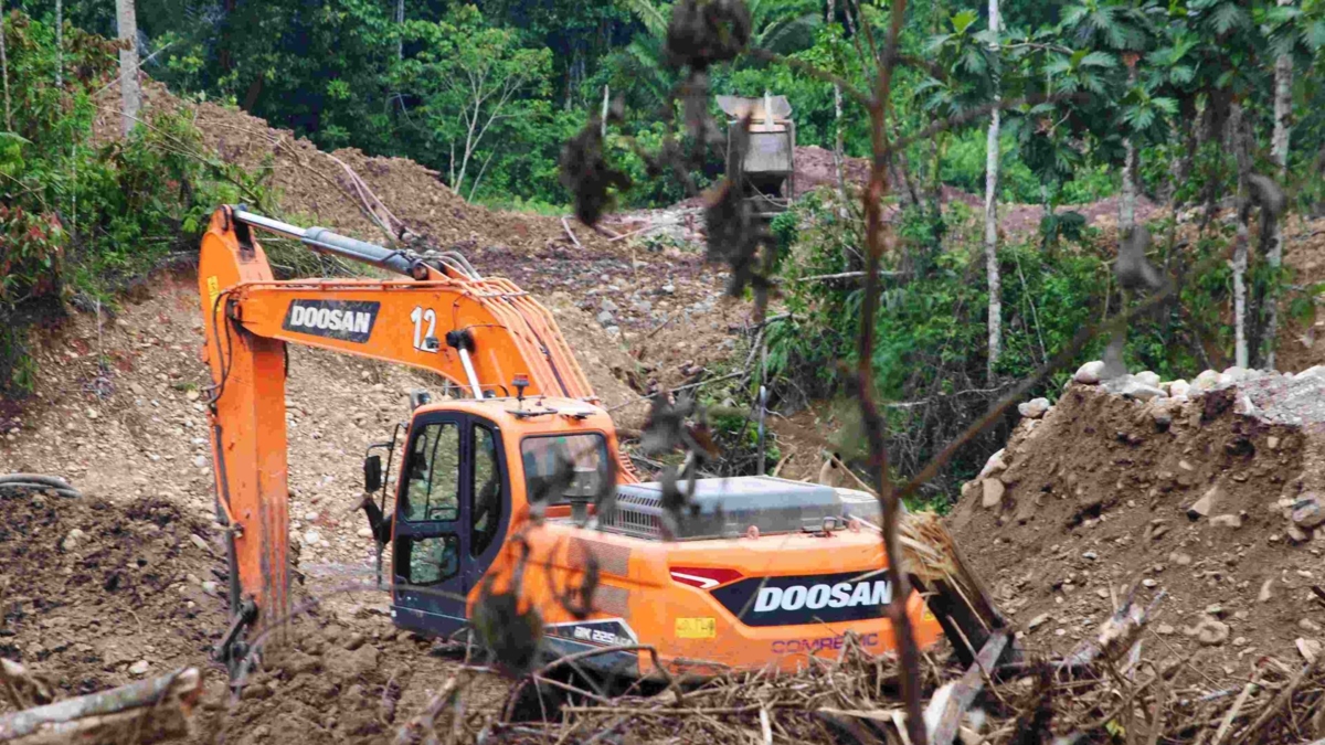 O paraíso da mineração ilegal na Amazônia