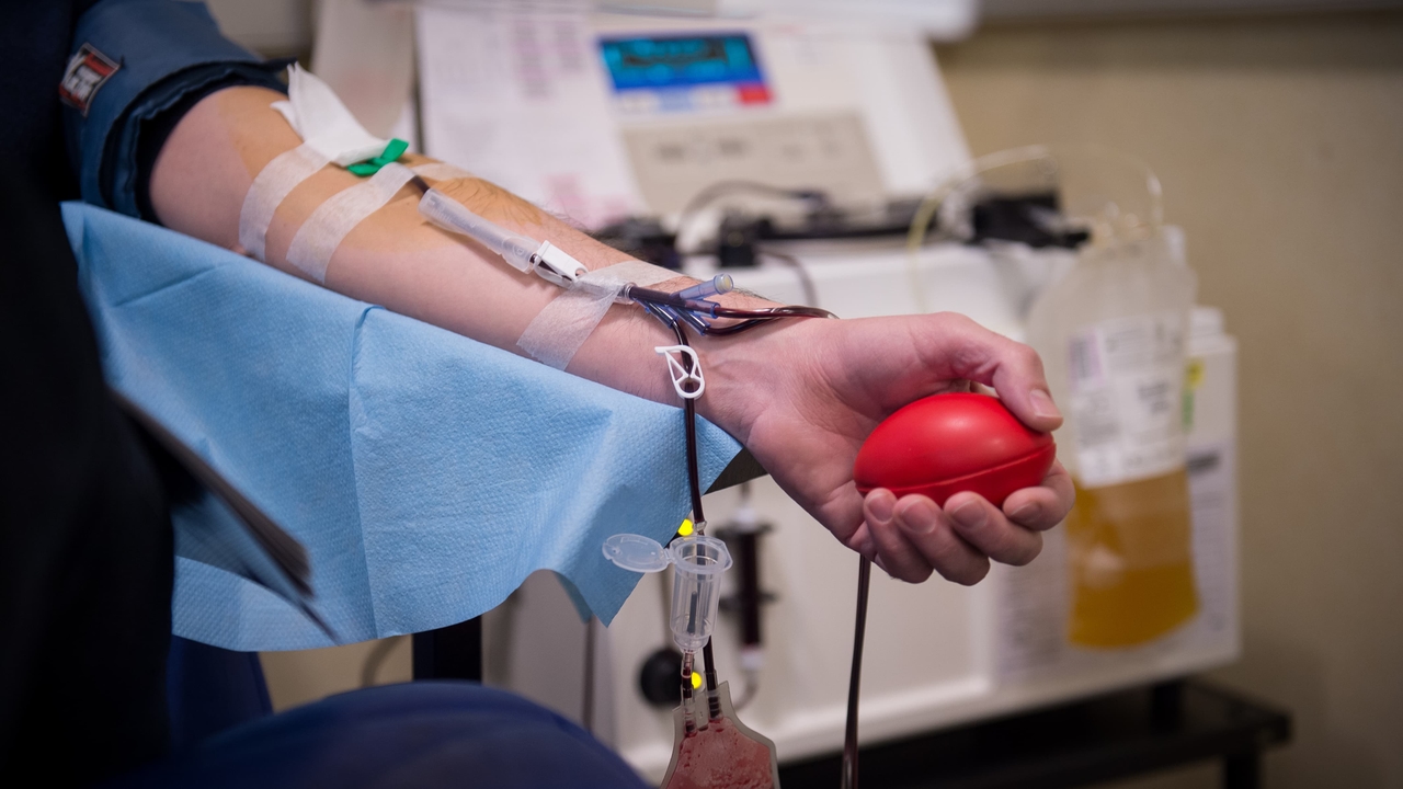 “Precisamos de mais 10 mil”: Doações de sangue insuficientes no início do verão levam a EFS a lançar apelo
