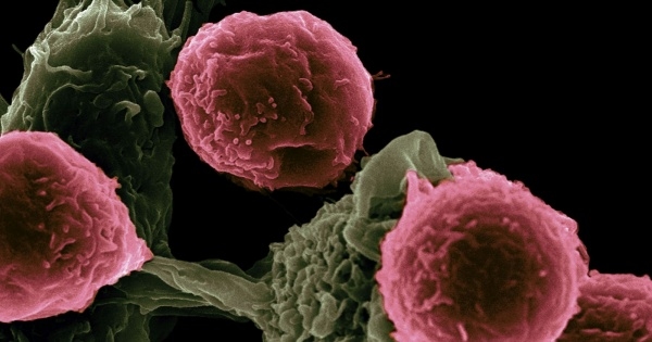 Investigadores conseguem novas “receitas” para reprogramar células que podem ajudar a combater o cancro