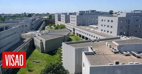 Minder studenten aan de universiteit, opleidingen met een instapcijfer boven de 18 en de uitzondering aan de top van de schaal