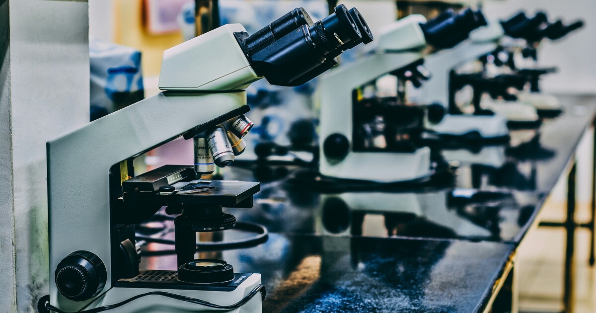 In the scientific method the world has the final say