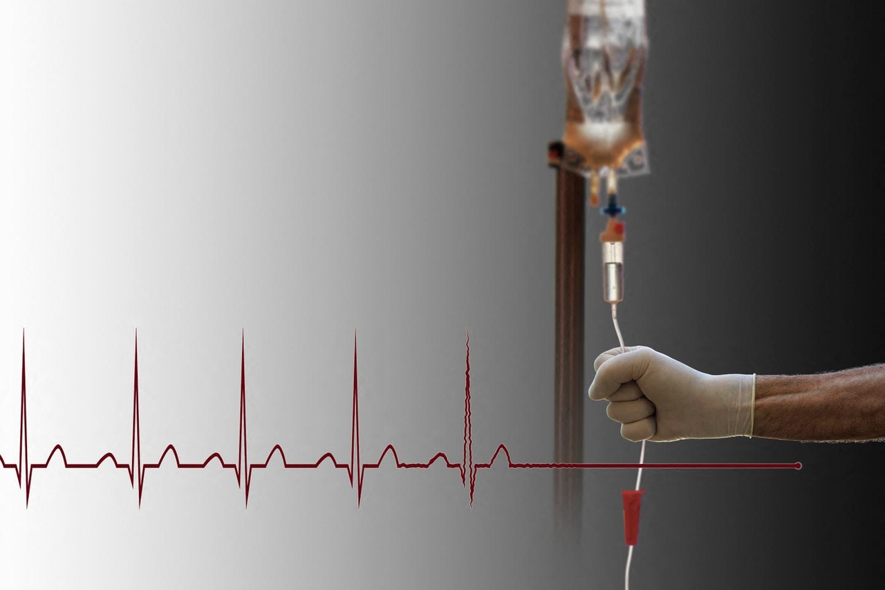 Assisted dying: what the new French law would and would not allow